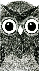 Ink Owl