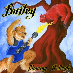 Bailey Rock Cover